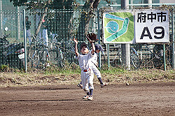 IMG_3950_thumb.jpg