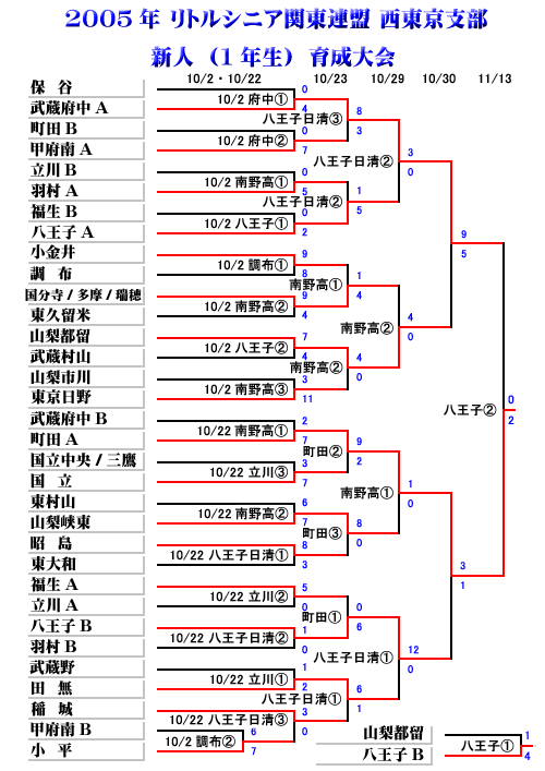 2005Nx gVjA֓A x Vl(1N)琬